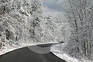 Winter road