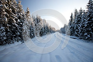 Winter road