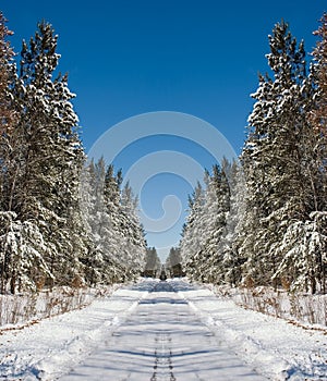 Winter Road