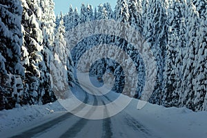 Winter road