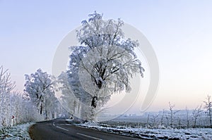 Winter road