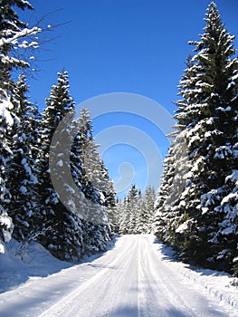 Winter road