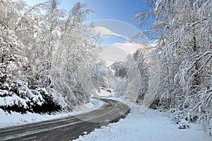 Winter road