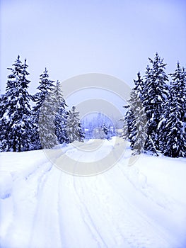 Winter Road