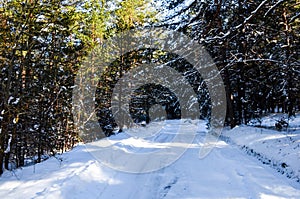 Winter Road