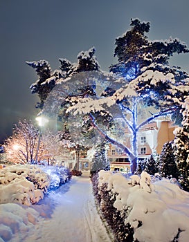 Winter road with christmas illuminations