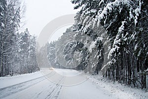 Winter road in the coniferous forest