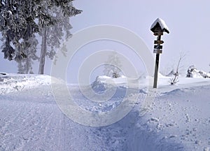 Winter road with directional signs