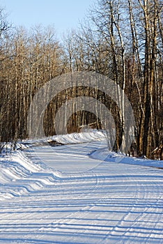 Winter road in elk island