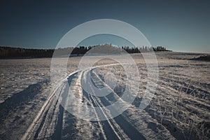 Winter road in the field on a November day