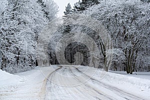 Winter road through forest with frozen trees