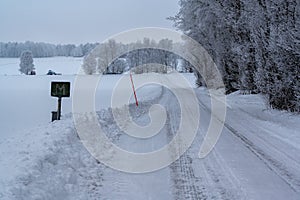 Winter road through forest with frozen trees