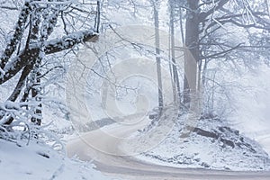 Winter road in the forest. Mountain serpentine high trees covered with snow