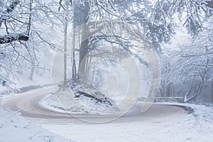 Winter road in the forest. Mountain serpentine high trees covered with snow