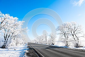 Winter road with frosted trees and the blue sky