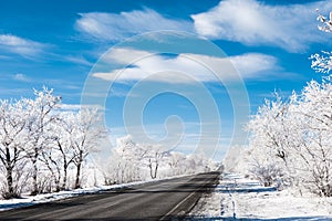 Winter road with frosted trees and the blue sky