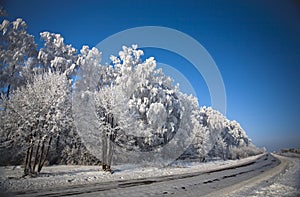 Winter road with frosted trees and rime photo