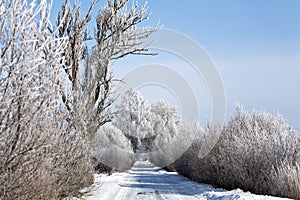 Winter road with frosted trees and rime