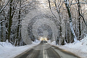 Winter road