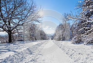 Winter road landscape with snow covered trees and bright sun