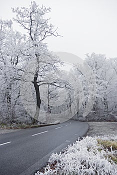 Winter road