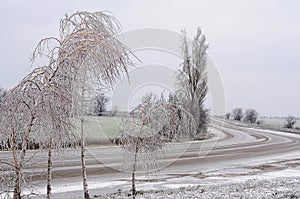 Winter road leaving behind the turn and icy birches.