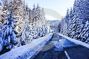 Winter road