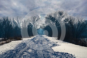 Winter road in mystical forest