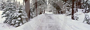 Winter Road Near Lake Tahoe