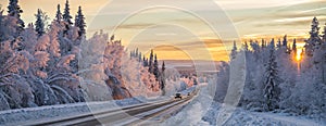 A winter road in northern Sweden