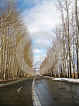 Winter road passing through tall poplar trees , Abyaneh , Iran