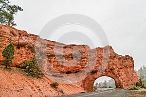 Winter on the road in Red rock canyon.