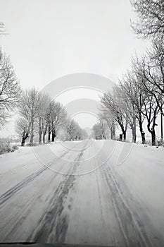 Winter road running between the frozen trees