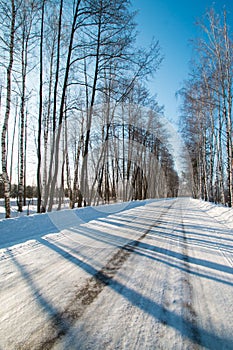 Winter road in the russian forest in a clear sunny day