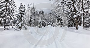 Winter Road, Sixt Fer A Cheval, France