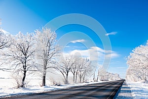 Winter road with snow-covered trees and blue sky