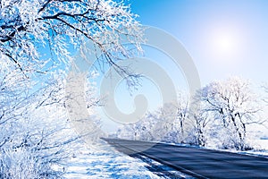 Winter road with snow-covered trees and blue sky