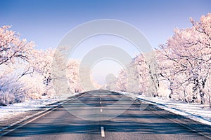 Winter road with snow-covered trees at sunset