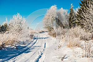 Winter road through snowy field