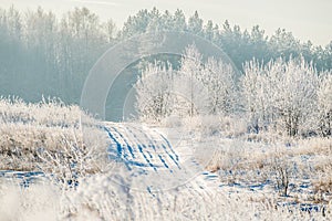 Winter road through snowy field