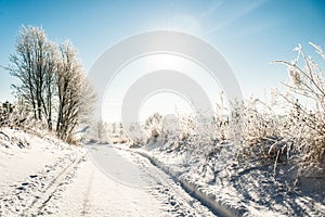 Winter road through snowy field