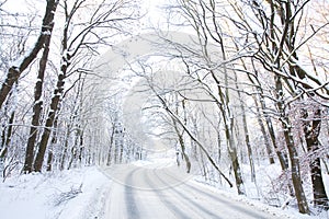 Winter road in snowy forest