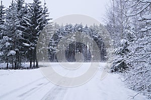 winter road through snowy forest