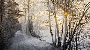 Winter road in the snowy forest russia