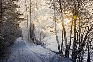 Winter road in the snowy forest russia