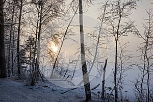 Winter road in the snowy forest russia