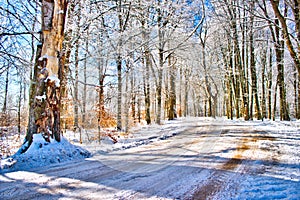 A Winter road at the Swedish woodlands