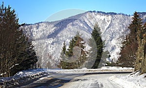 Bakuriani, Georgia - Winter road