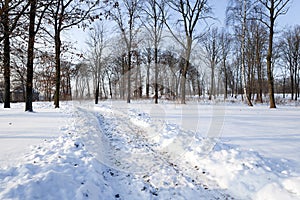 Winter road. track.