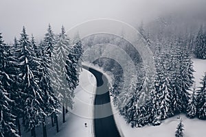 Winter Road trough a forest. Mystic winter atmosphere